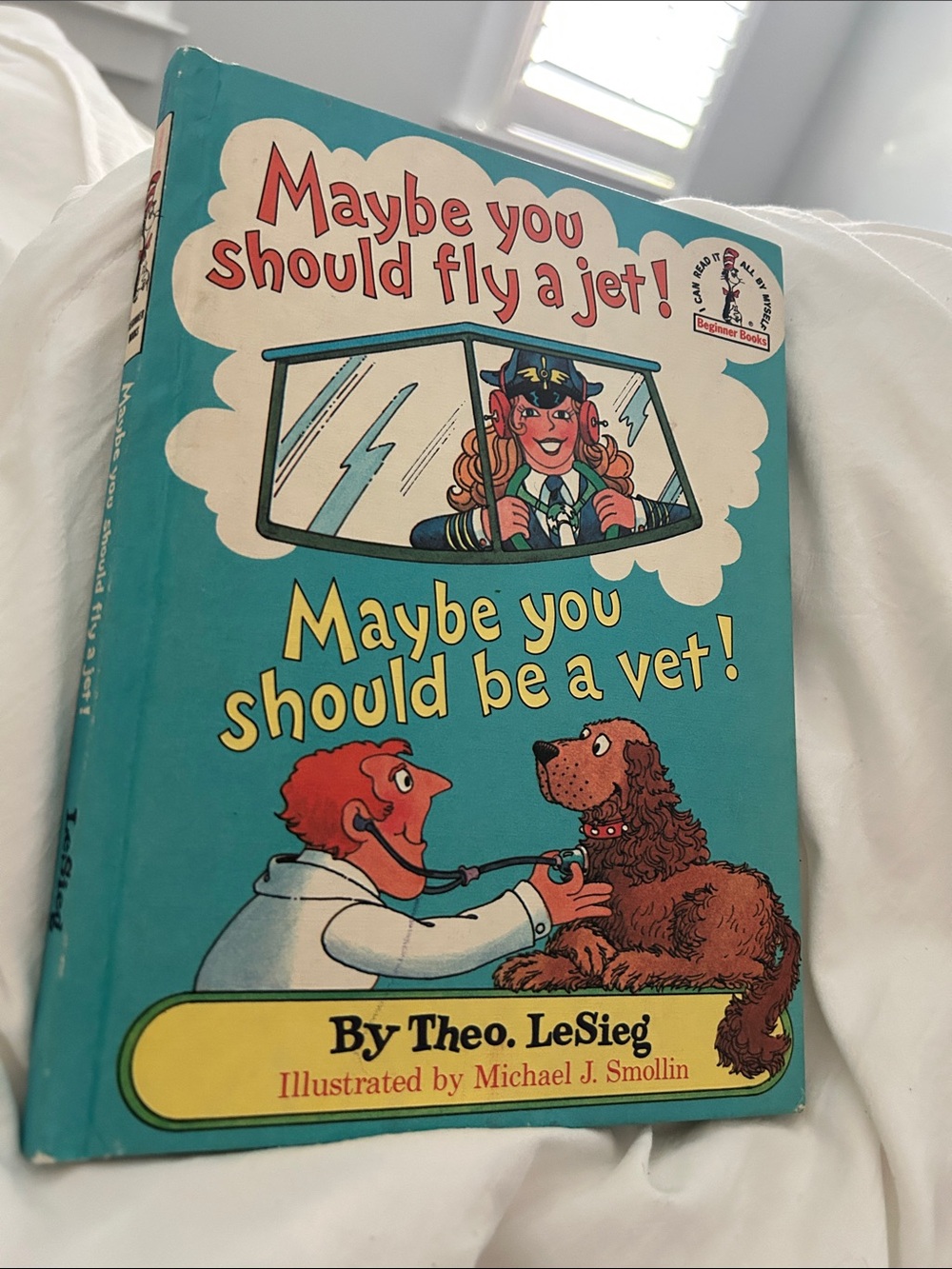Beginner Books "Maybe You Should Fly a Jet! Maybe You Should Be a Vet!"